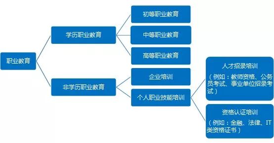 職業教育需求旺盛，兩大領域成為剛需