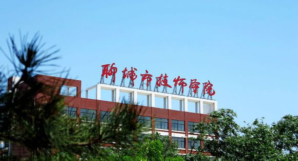 聊城市技師學院有計算機專業嗎？
