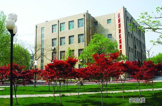 淄博市工業學校開設哪些計算機課程？