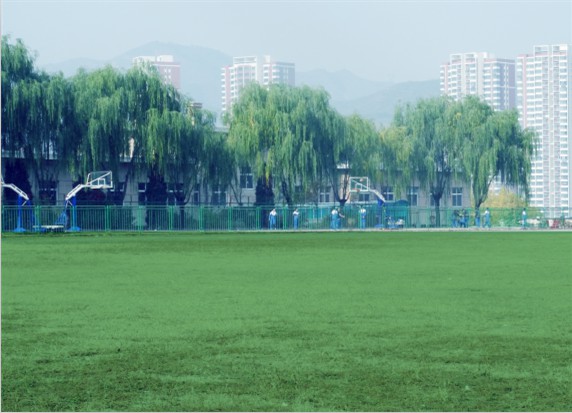 青島滿天星職業培訓學校怎么樣？