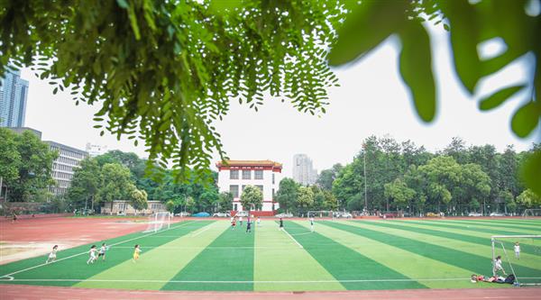 為什么選擇青島滿天星職業培訓學校？
